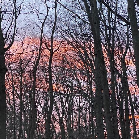 The Sanctuary At Deer Dune , Saugatuck Dış mekan fotoğraf