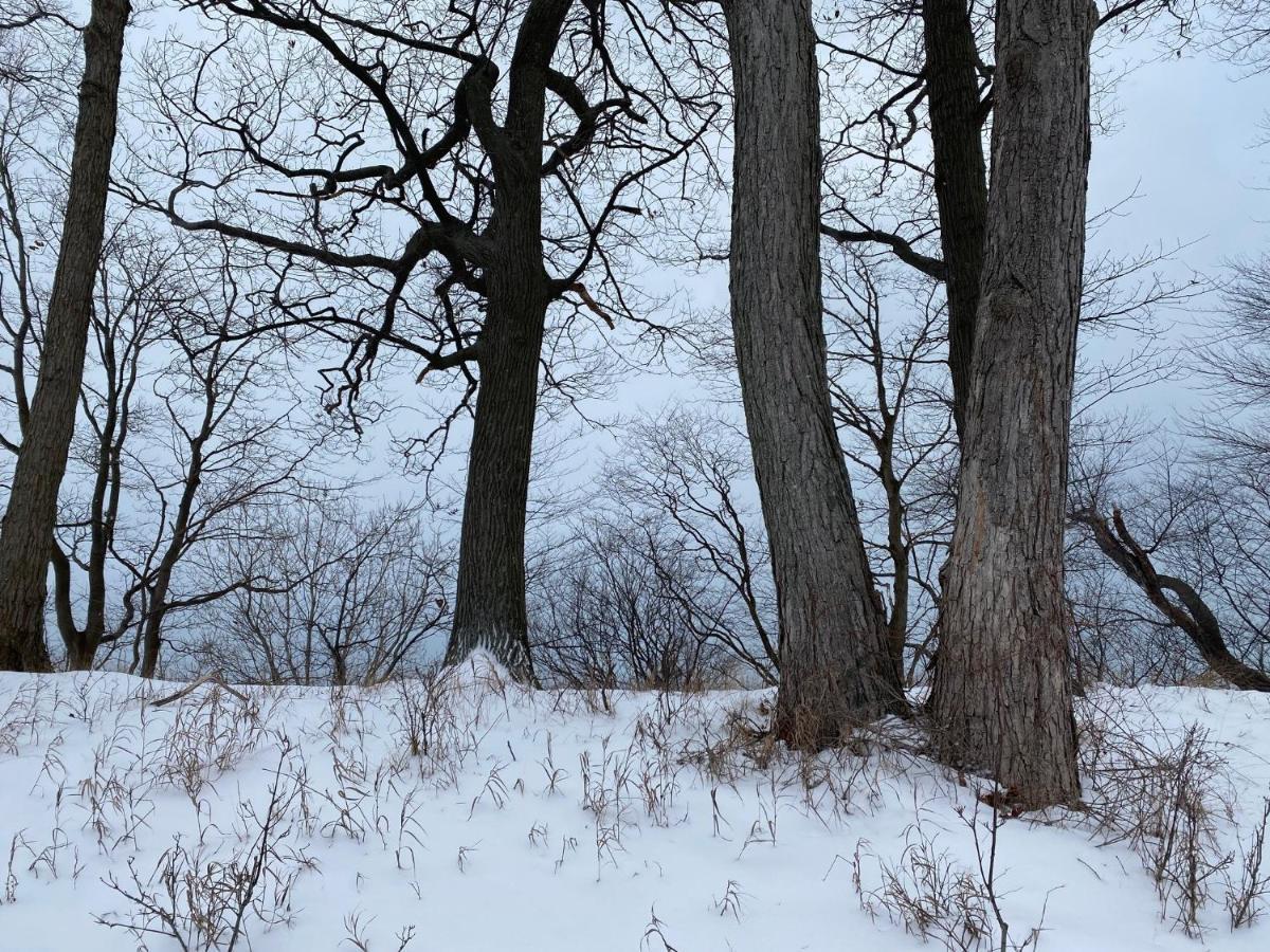The Sanctuary At Deer Dune , Saugatuck Dış mekan fotoğraf