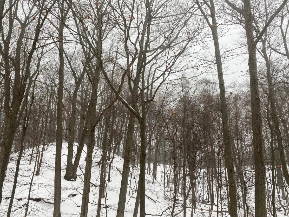 The Sanctuary At Deer Dune , Saugatuck Dış mekan fotoğraf